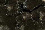 Septarian Dragon Egg Geode - Black Crystals #177420-3